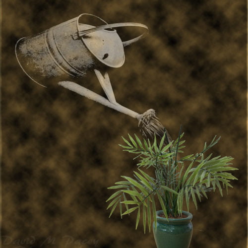 Is softened water safe for plants?